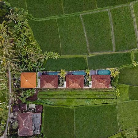Airsania Ubud Antique Villas Экстерьер фото