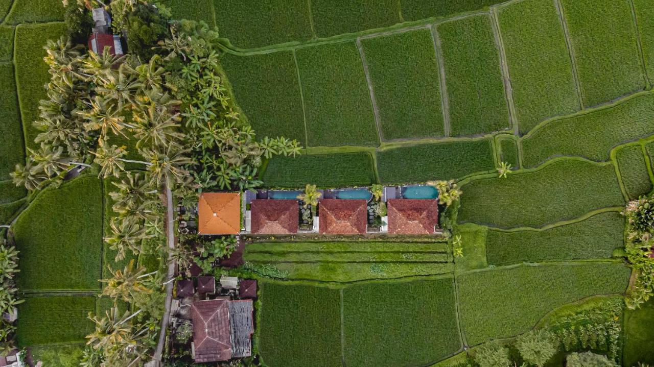 Airsania Ubud Antique Villas Экстерьер фото